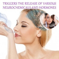 Best Natural Long Lasting Fragrance | Long Lasting Natural Perfume