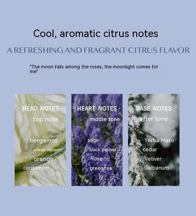 Long-Lasting Aromatic Citrus Perfume | Citrus Scent Perfume