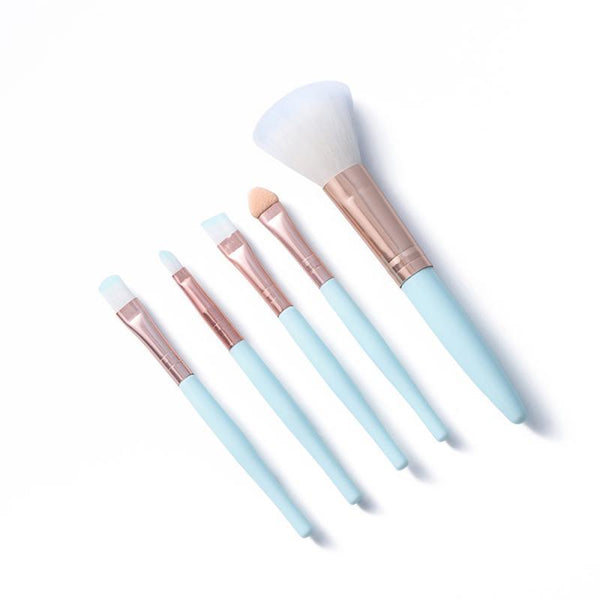 5 female makeup brushes set