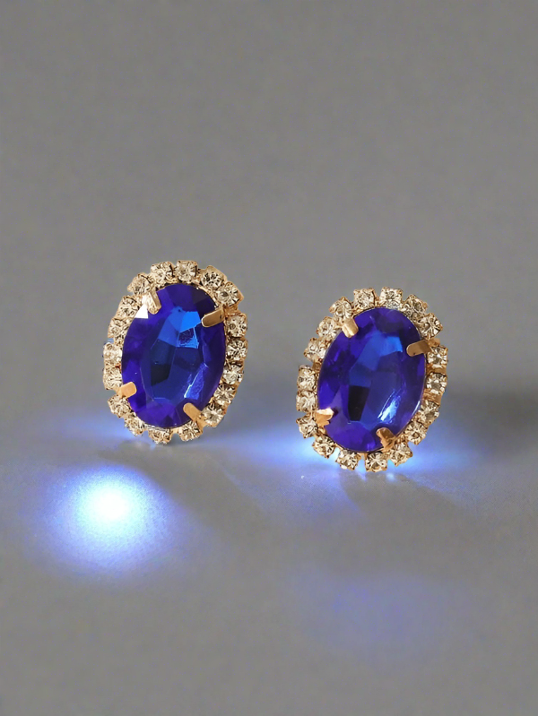 Blue Stoned Stud Earrings