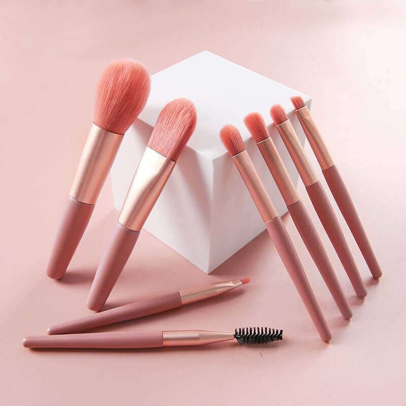 Beauty Tools 8 Mini Makeup Brushes | Affordable Brush Set For Beginners