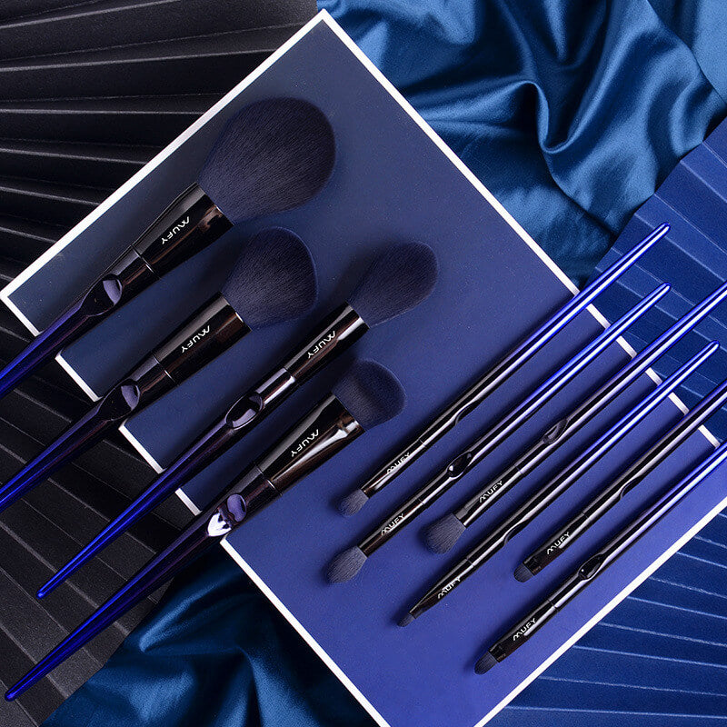 Blue 10 Pcs Makeup Brushes Set With Bag | Compact Makeup Brush Set