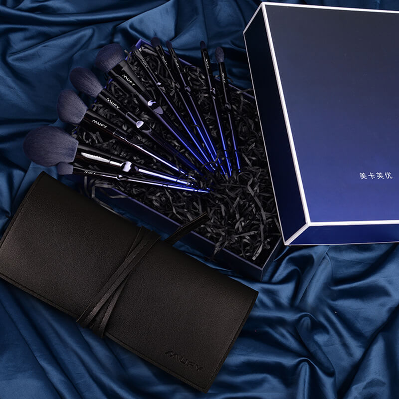 Blue 10 Pcs Makeup Brushes Set With Bag | Compact Makeup Brush Set