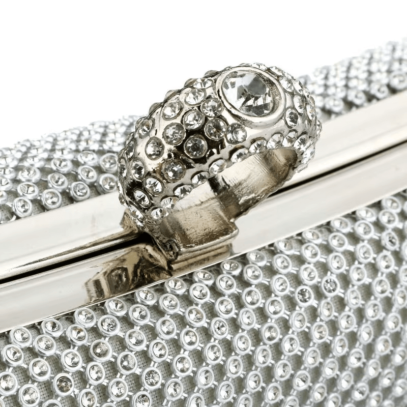 Elegant Ladies Evening Clutch with Chain | Small Party Handbag