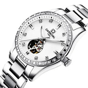 Switzerland Carnival Women Watches Luxury Brand ladies Automatic Mechanical Watch Women Waterproof relogio feminino 8685L-6