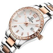 Switzerland Carnival Women Watches Luxury Brand ladies Automatic Mechanical Watch Women Waterproof relogio feminino 8685L-6