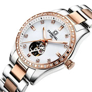 Switzerland Carnival Women Watches Luxury Brand ladies Automatic Mechanical Watch Women Waterproof relogio feminino 8685L-6