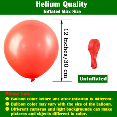 Matte Coral Balloons 50 Pack Bulk 12 Inch Pearlized Natural Biodegradable Latex Balloon Helium Quality for Kids' Party Birthday Engagement Wedding DIY Decorations Supplies